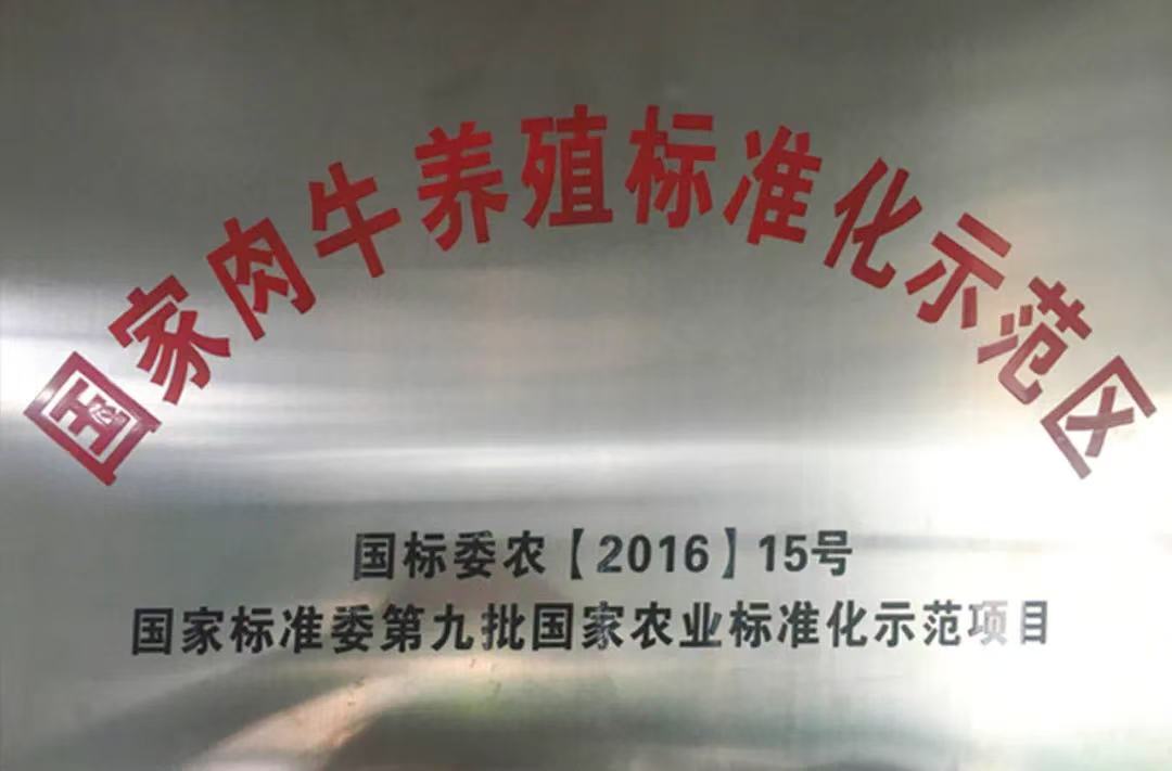 图片11.jpg