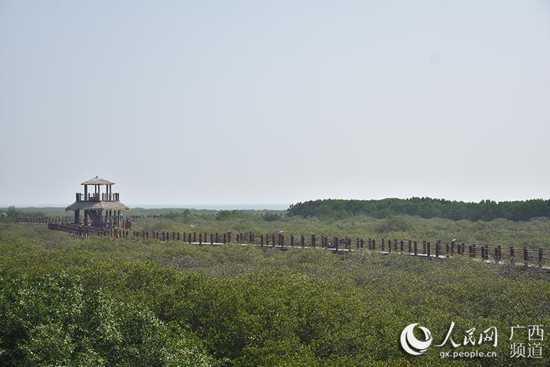 ????μ·é???μ·?1??o￠???????????????????o?????-??·???