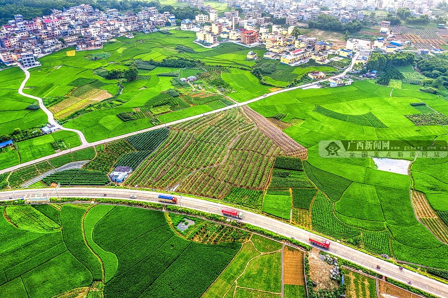 贵港市港北区港城街道龙井村获评为全国文明村镇