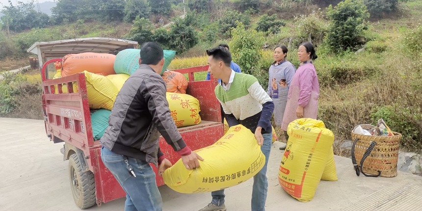 群众忙着搬运装车。黄燕群摄