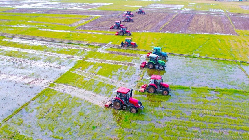机械化作业提高春耕效能。卢星骏摄