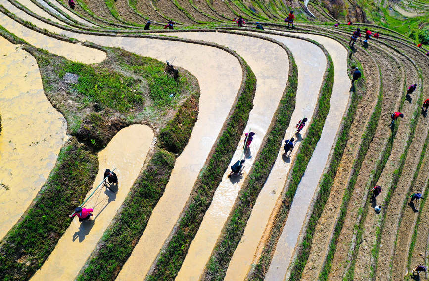 村民在梯田上劳作。潘志祥摄