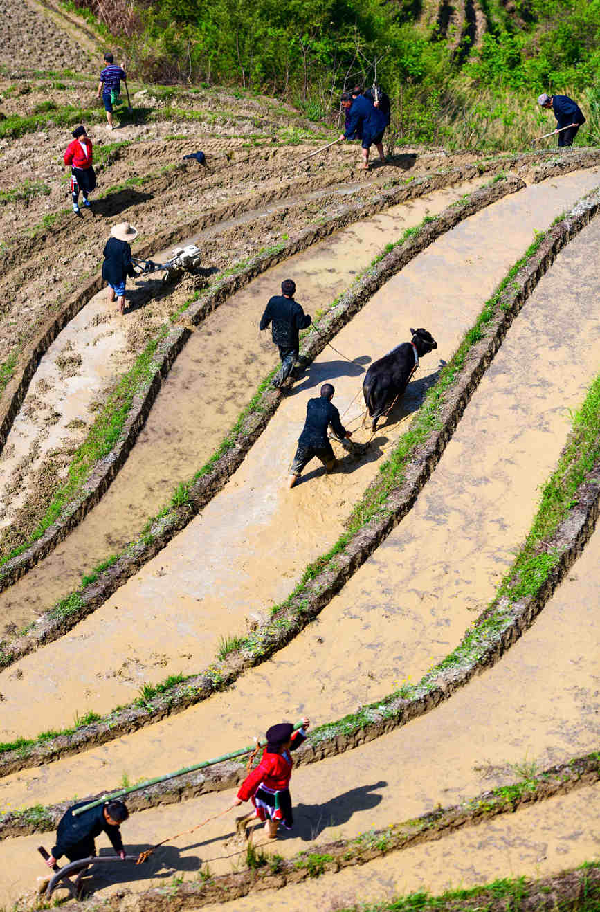 村民在梯田上劳作。潘志祥摄