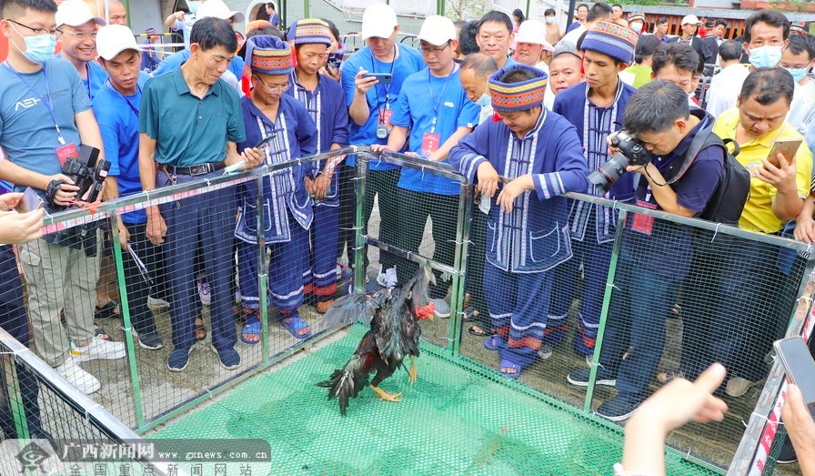 1656230015211625.png image.png