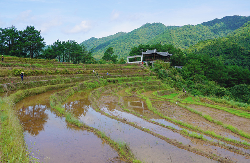 百马梯田里天光云影相辉映。