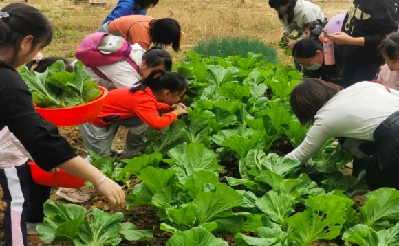 1668654444312503.png image.png