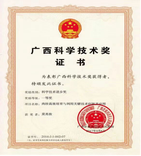 1669292826106882.png cf36d6fd15a821094fa8e98da52fcc7.png