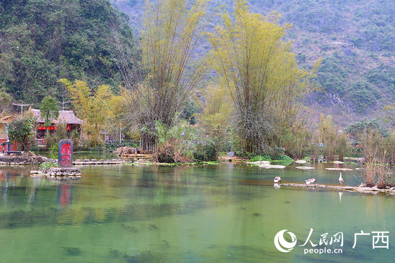 翠竹婆娑的鹅泉。人民网 付华周摄 翠竹婆娑的鹅泉。人民网 付华周摄