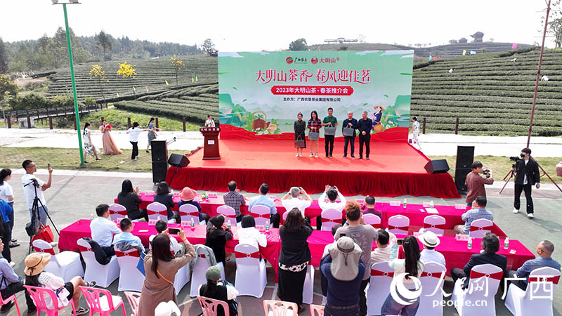 广西农垦茶业集团春茶推介会。人民网 付华周摄