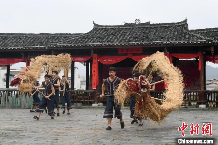 图为仫佬族民众在舞草龙。 廖光福 摄 图为仫佬族民众在舞草龙。 廖光福 摄