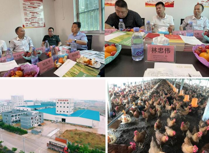 1682383583162254.jpg 1682383583162254.jpg