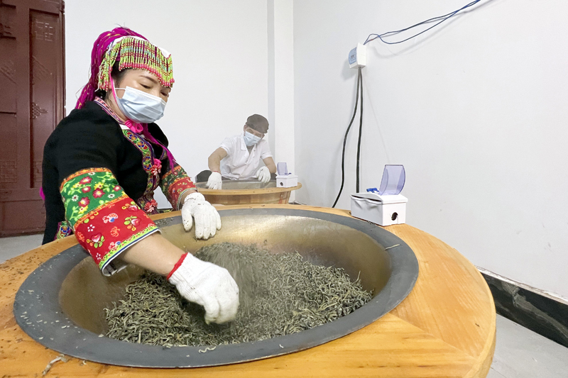 工人将茶叶进行烘焙。