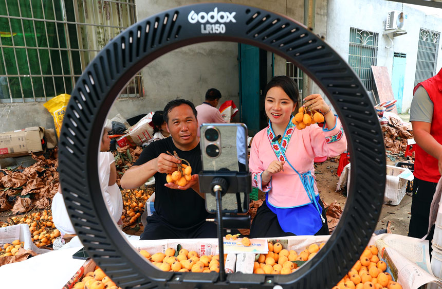 网红主播与果农在“线上”进行枇杷直播。