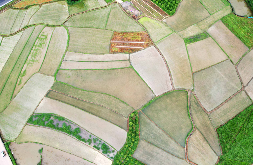 阡陌纵横的田野。