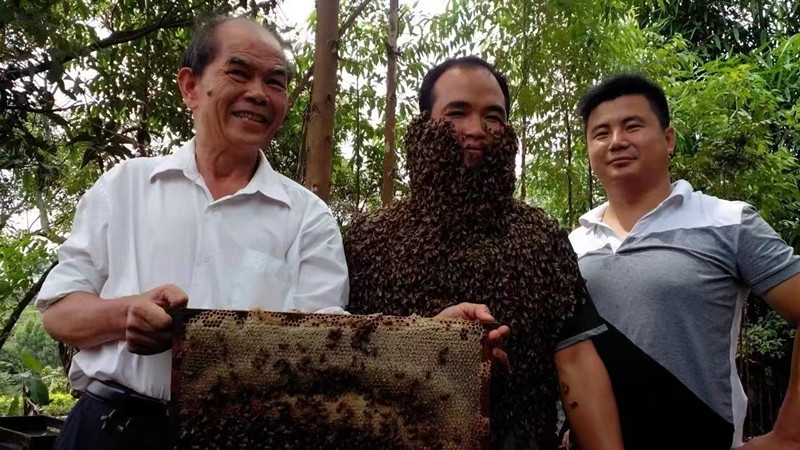 1686890871218251.jpg mmexport1686889866418.jpg