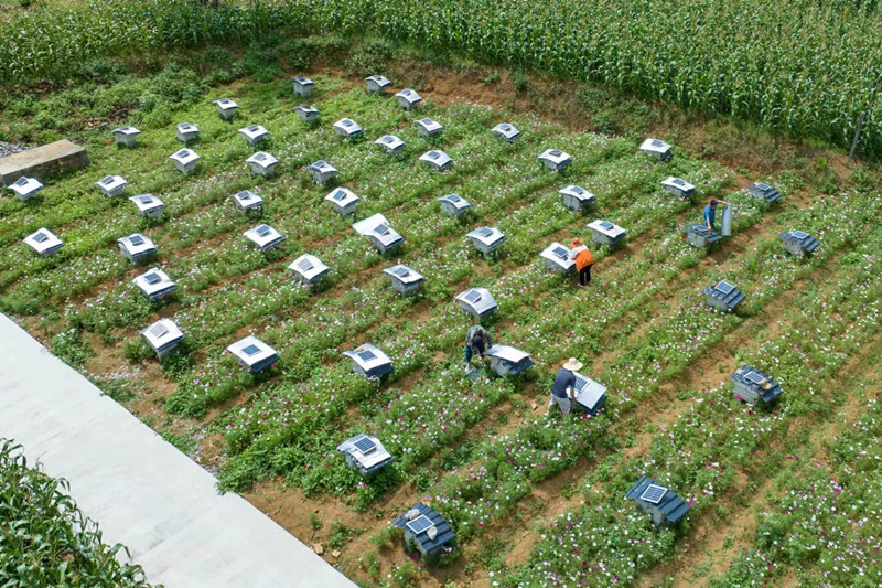 1686890987608367.jpg mmexport1686889890442.jpg