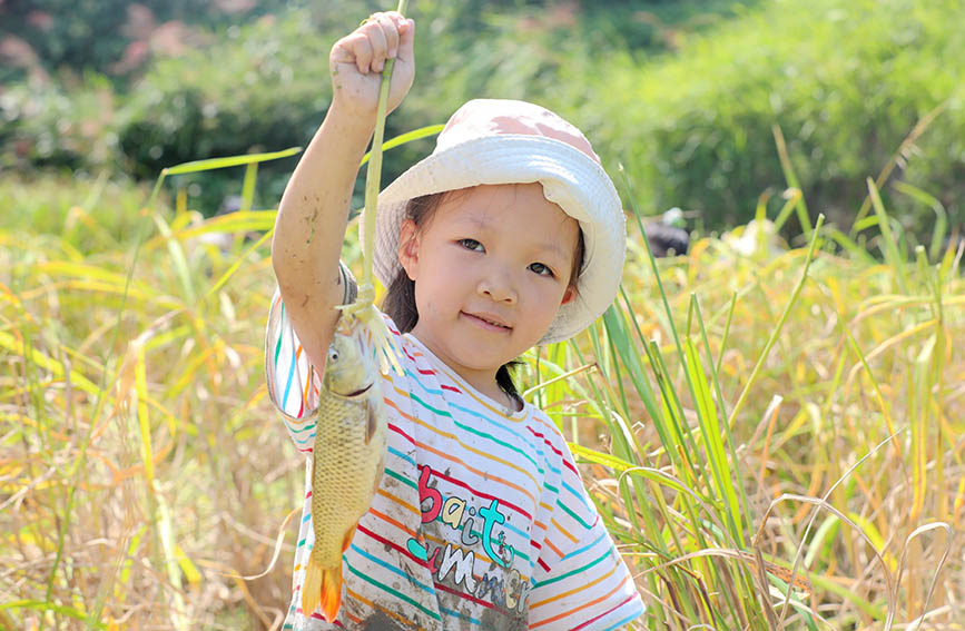 小女孩在稻田里展示高山稻鱼。