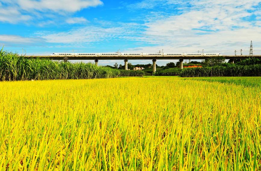 广西：列车飞驰入画来【2】