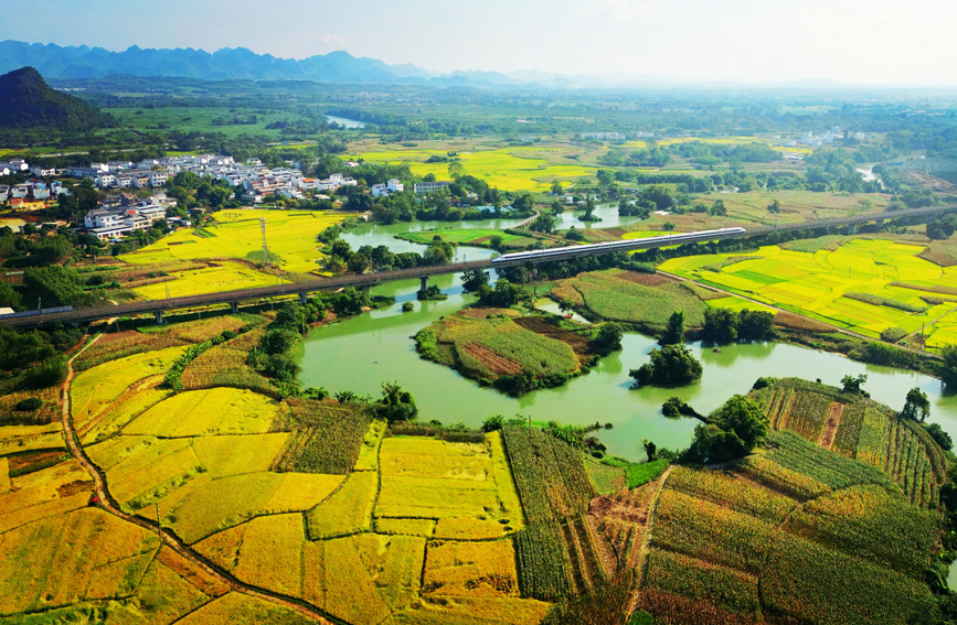 广西：列车飞驰入画来【5】