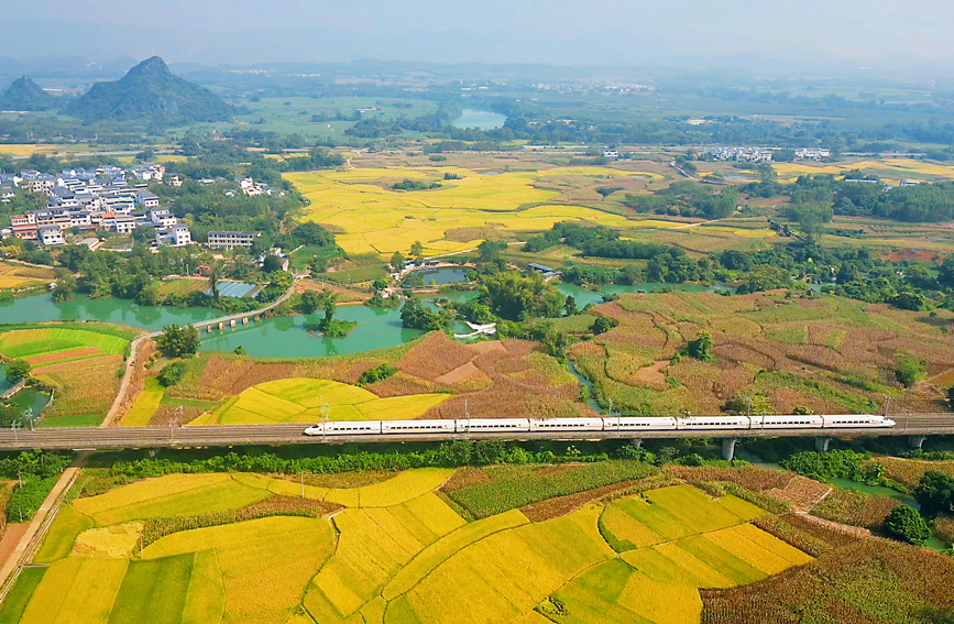 广西：列车飞驰入画来【6】