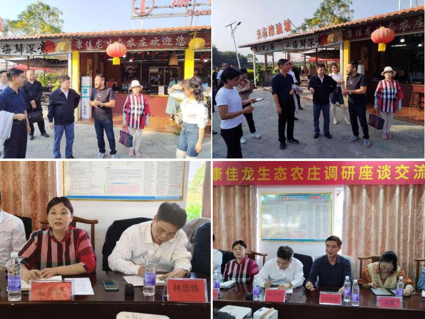 1701091657782883.jpg 3.jpg