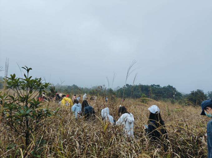 1704440796172928.jpg 2.jpg