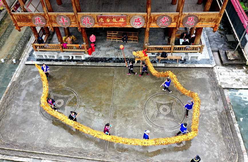 侗族村民在练习舞草龙 侗族村民在练习舞草龙